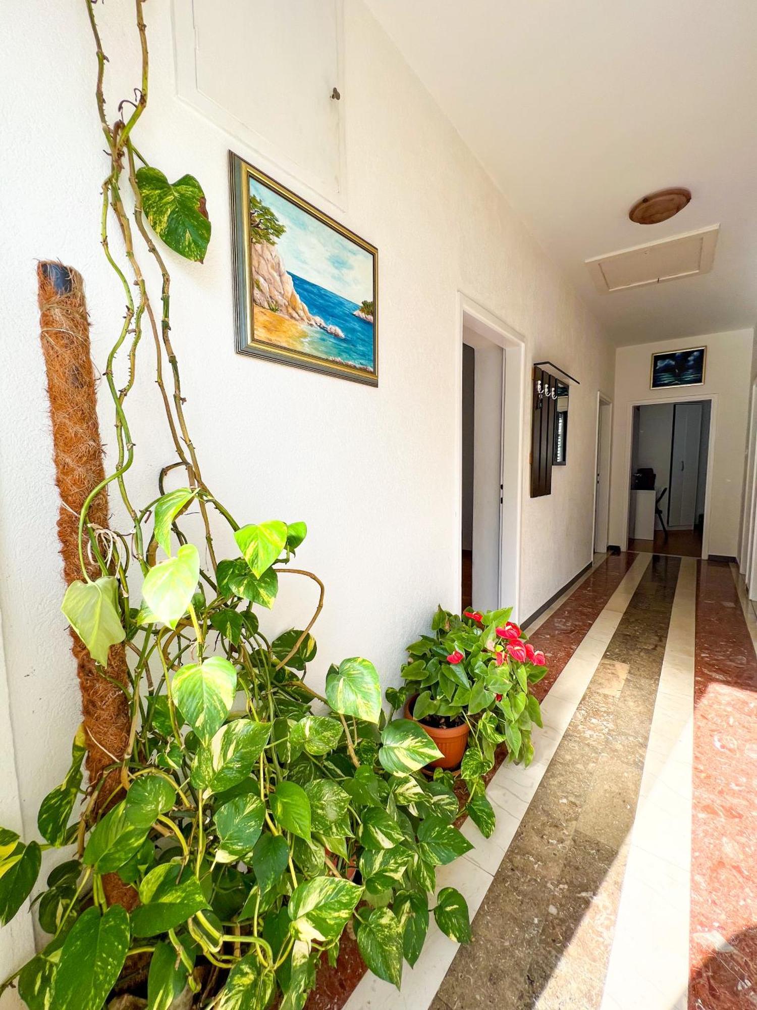 Apartment Bava Dubrovnik Exterior photo