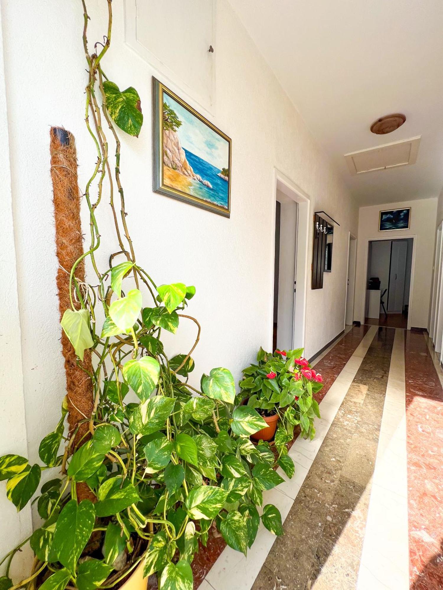 Apartment Bava Dubrovnik Exterior photo